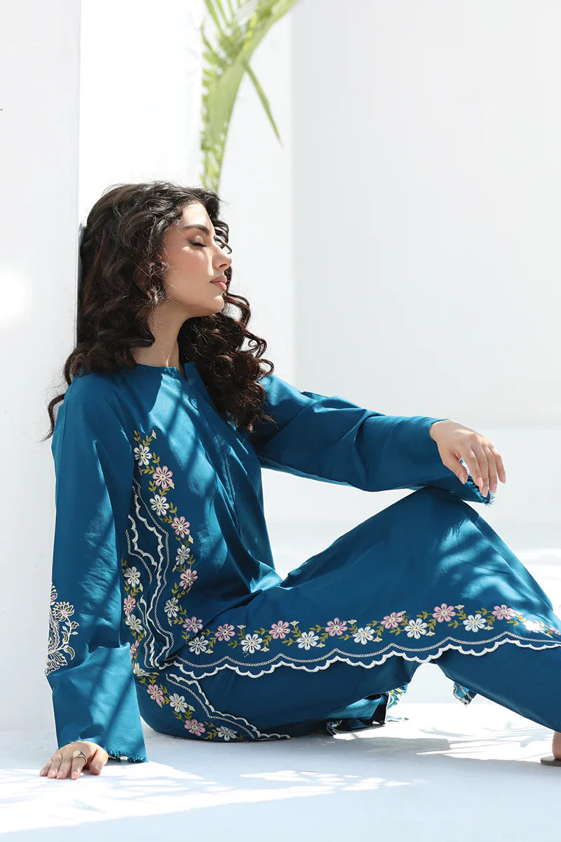 WINTER - Best Selling - Blue Apes 2Pc Embroidered Suit