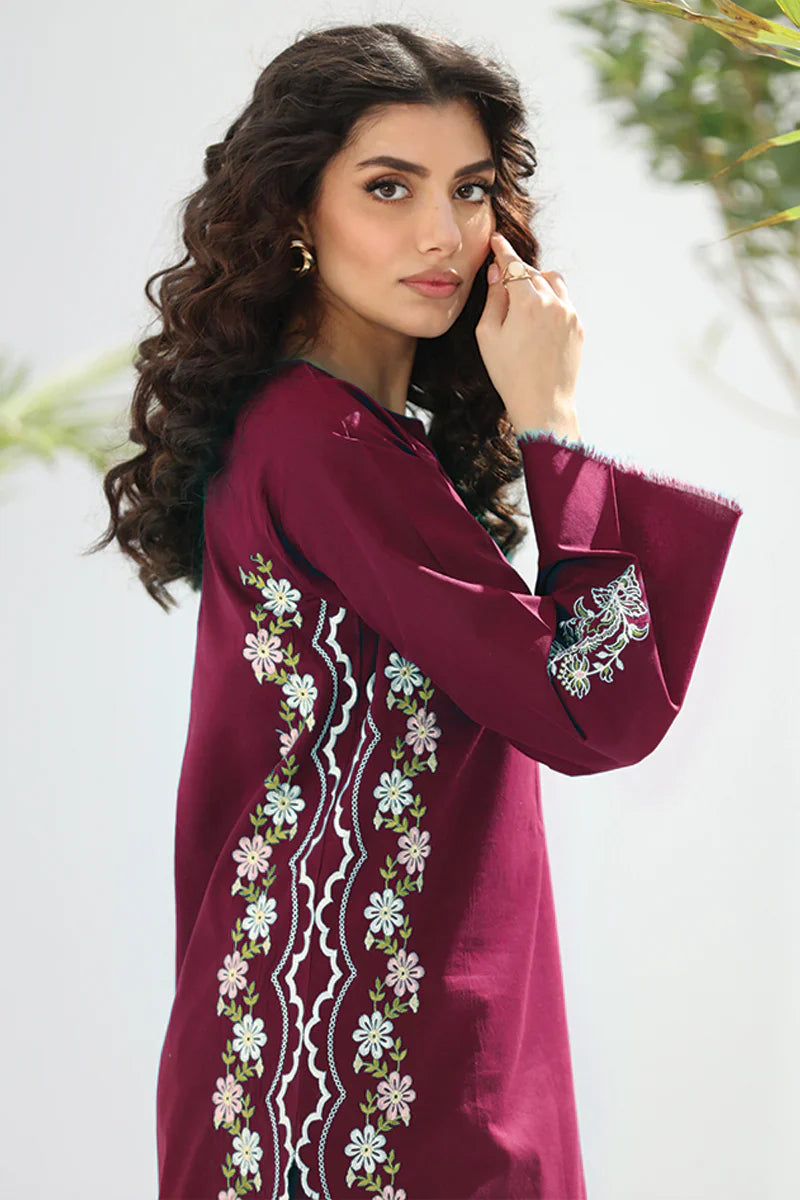 WINTER - Best Selling - Apes 2Pc Embroidered Suit